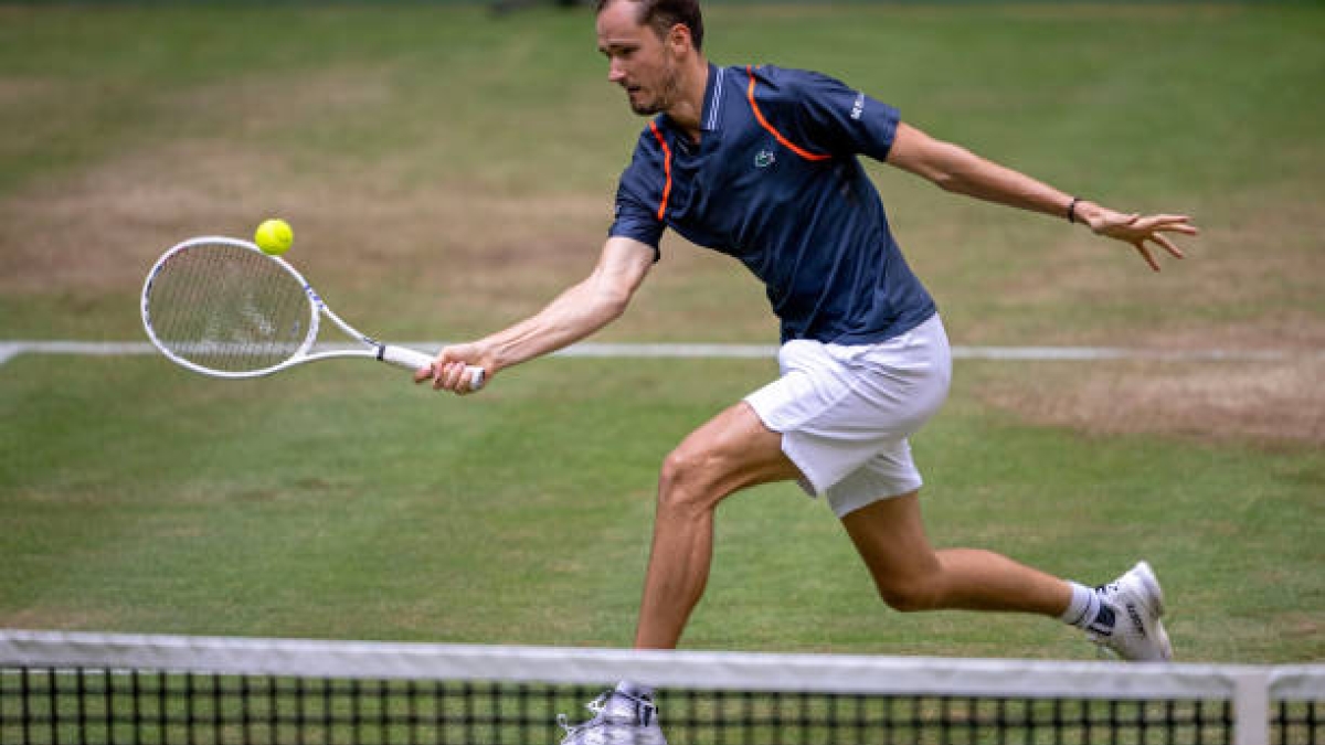 Daniil Medvedev, en Halle 2023. Foto: Getty