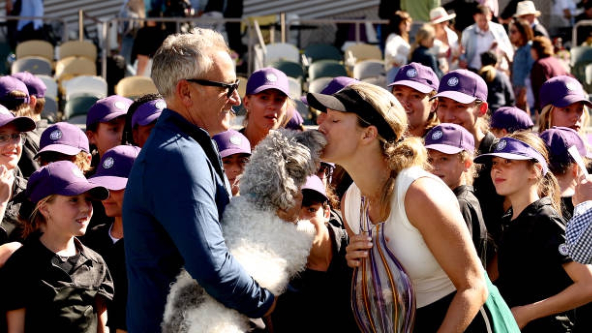 Collins, celebración perro. Foto: gettyimages