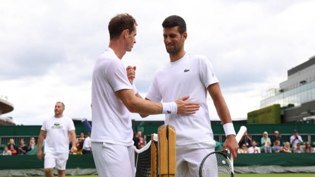 Murray and Djokovic will work together. Photo: gettyimages