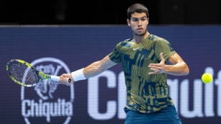 Alcaraz se impone a Carreño en los cuartos de final de Basilea. Foto: ATP