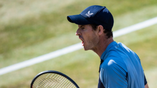 Andy Murray en Stuttgart 2022. Foto: Getty