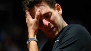 Juan Martín del Potro. Fuente: Getty