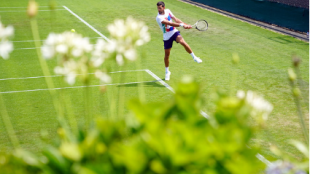 Novak Djokovic, favorito en Wimbledon 2022. Foto: gettyimages