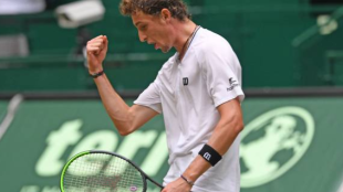 Los grandes beneficiados de la transición arcilla - hierba