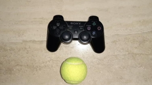 Tenis y videojuegos, dos buenos amigos. Fuente: PDB