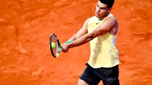 Carlos Alcaraz, cuadro en ATP Río Open 2024. Foto: gettyimages