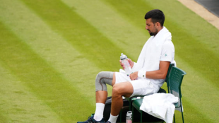 Novak Djokovic en Wimbledon 2024. Foto: getty