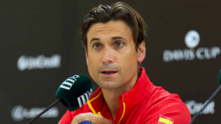David Ferrer assessed the group stage in the Davis Cup. Source: Getty
