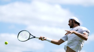 Lloyd Harris in 2024. Photo: Getty Images.