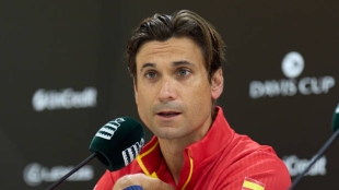 David Ferrer, possibilities for Nadal to play in Malaga. Photo: gettyimages