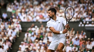 Djokovic, scare on grass. Photo: gettyimages