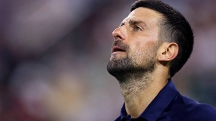 Del Potro y Sabatini opinan sobre si Djokovic logrará otro Grand Slam