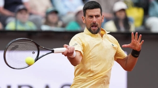 "Djokovic estaba jugando de maravilla hasta que enfermó"