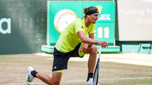 Alexander Zverev, draw in Halle. Photo: gettyimages