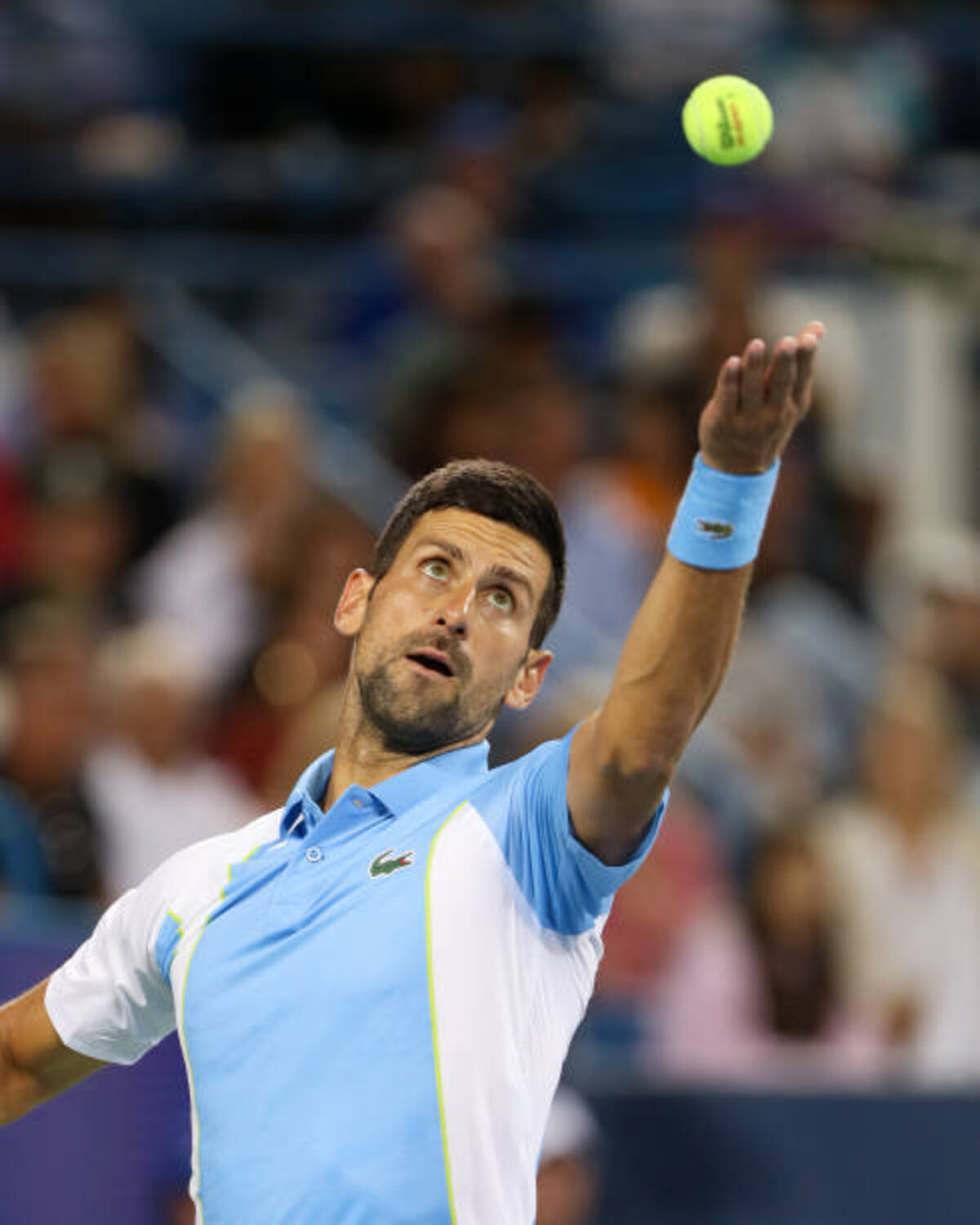 Djokovic confirma su regreso a Cincinnati: una declaración de intenciones antes del US Open