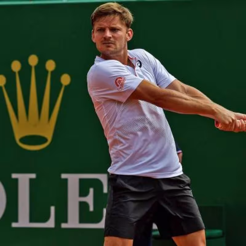 Goffin, Coric y Raonic, fuera de combate en Madrid