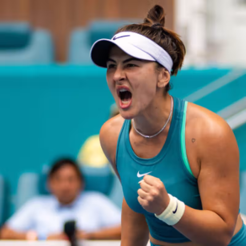 Andreescu: "Estoy al 80% de mis capacidades"
