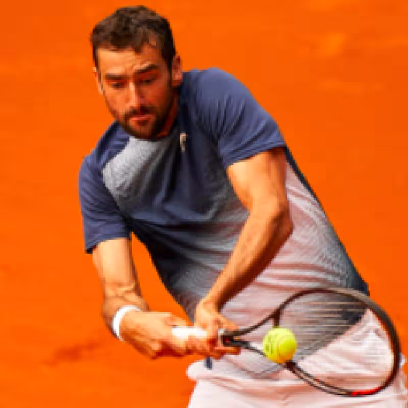 Krajinovic y Cilic cumplen en la primera jornada de Roma