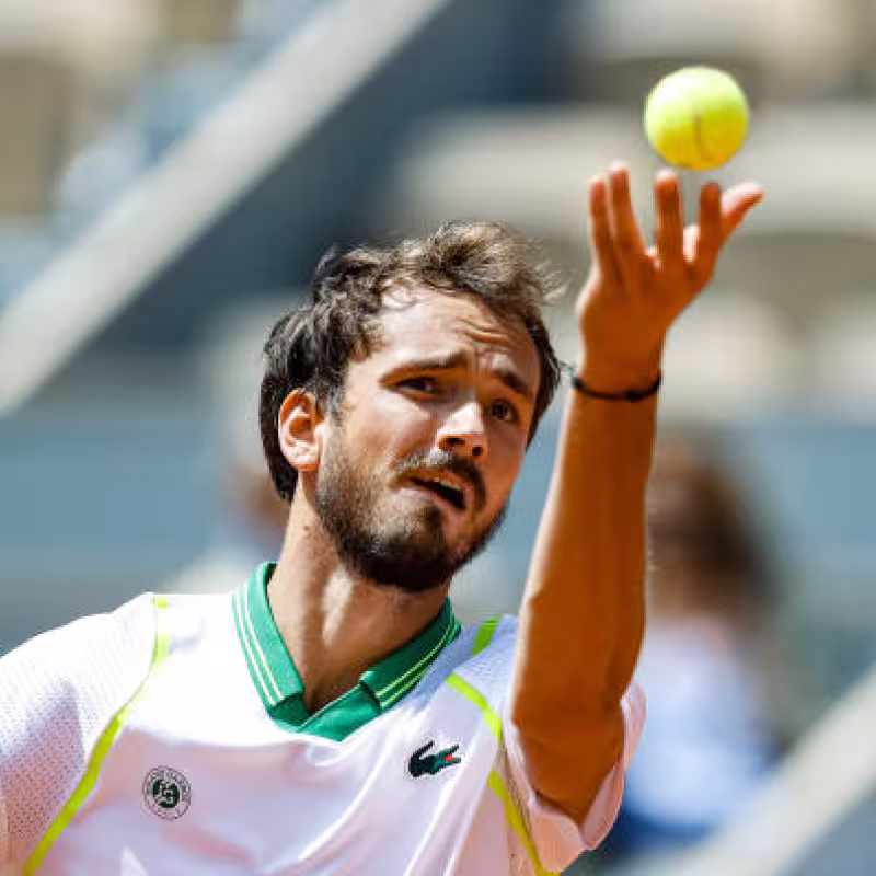 Medvedev cae sorpresivamente de s'Hertogenbosch