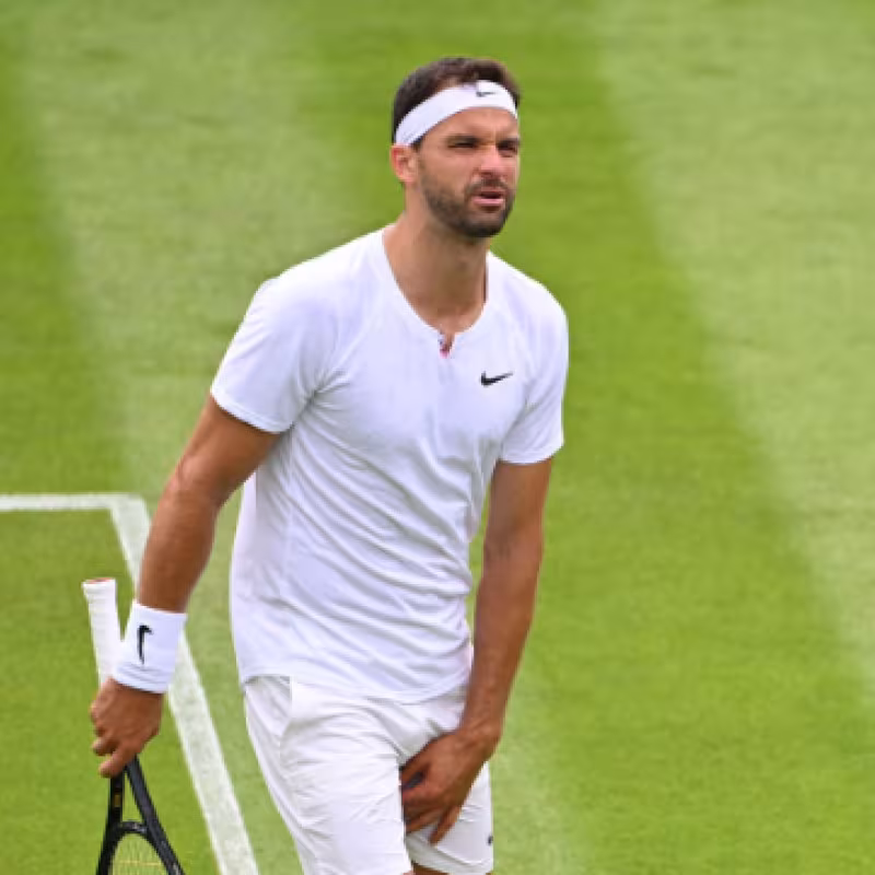 Dimitrov, obligado a retirarse ante Johnson por lesión