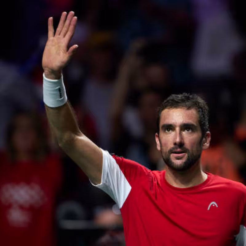 Cuadro ATP Umag: Cilic vuelve a escena y Landaluce recibe una invitación