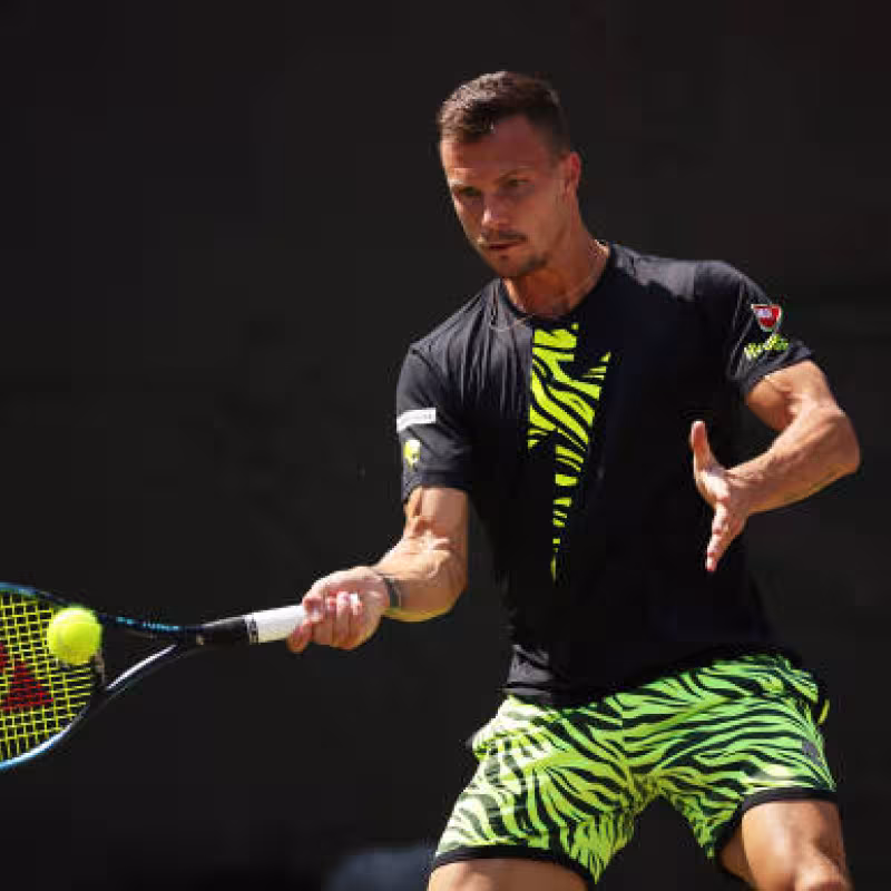 Cuadro Challenger El Espinar: Fucsovics, el gran atractivo