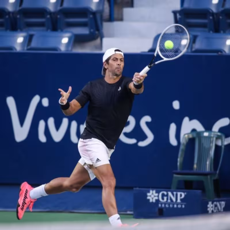 Challenger El Espinar: Cuadro. Verdasco vuelve a la competición