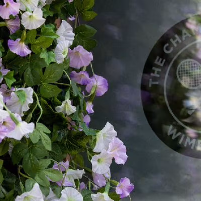 Wimbledon. Foto: Getty