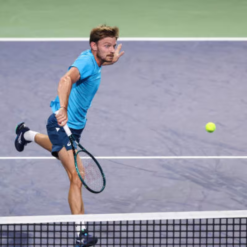 David Goffin at ATP Shanghai 2024. Photo: Getty