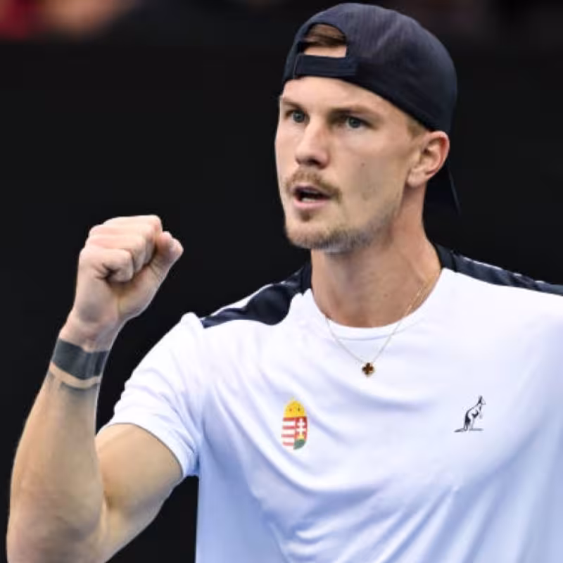 Marton Fucsovics at the 2025 Davis Cup. Photo: Getty