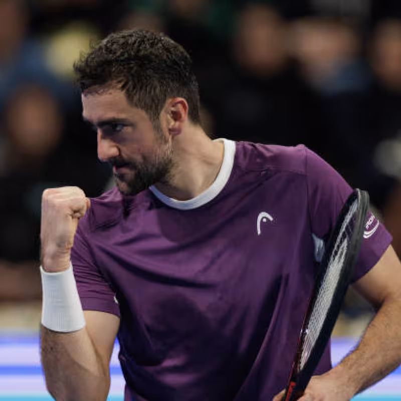Marin Cilic defeats De Miñaur. Photo: gettyimages