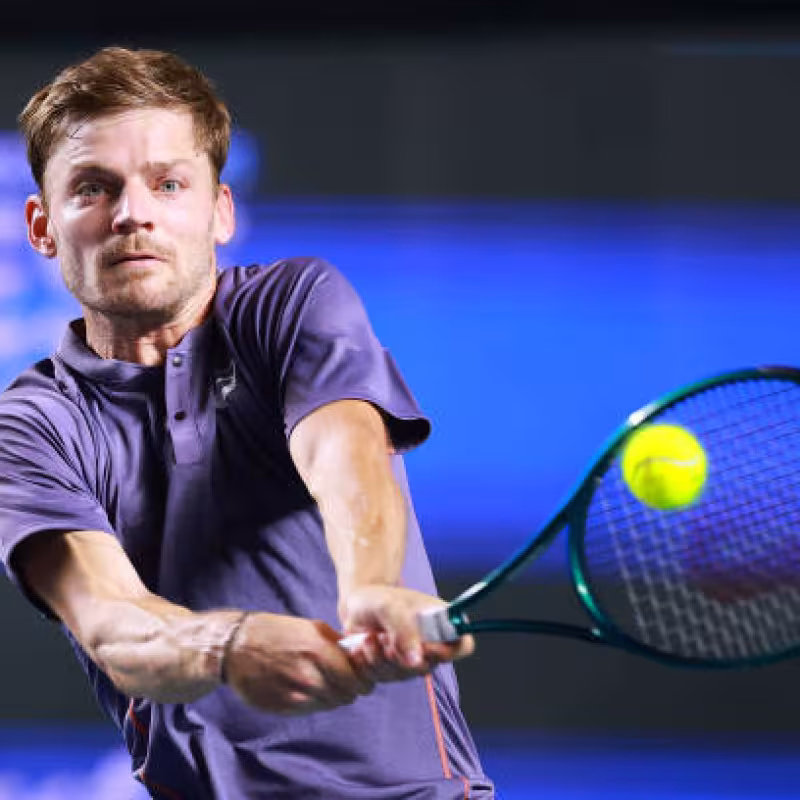 David Goffin. Source: Getty