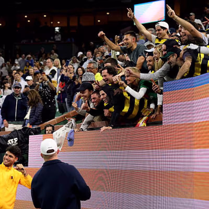 Alcaraz disguises himself as a bee. Photo: gettyimages.
