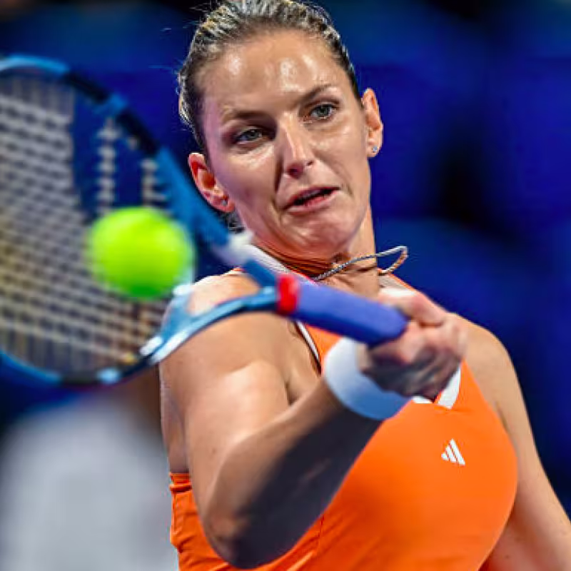 Pliskova reunites under the roof of Linz. Source: Getty