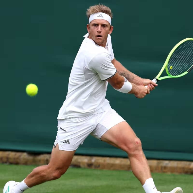 Davidovich will not be at the US Open. Photo: Getty