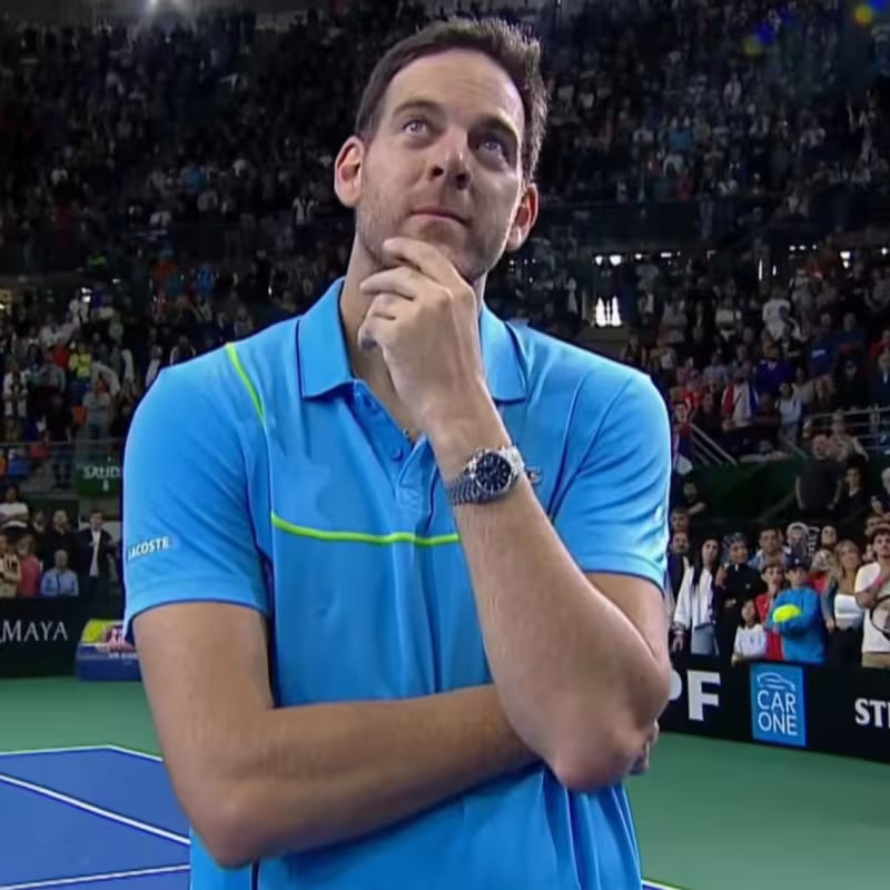 Juan Martín Del Potro, candidat au Hall of Fame. Photo : gettyimages